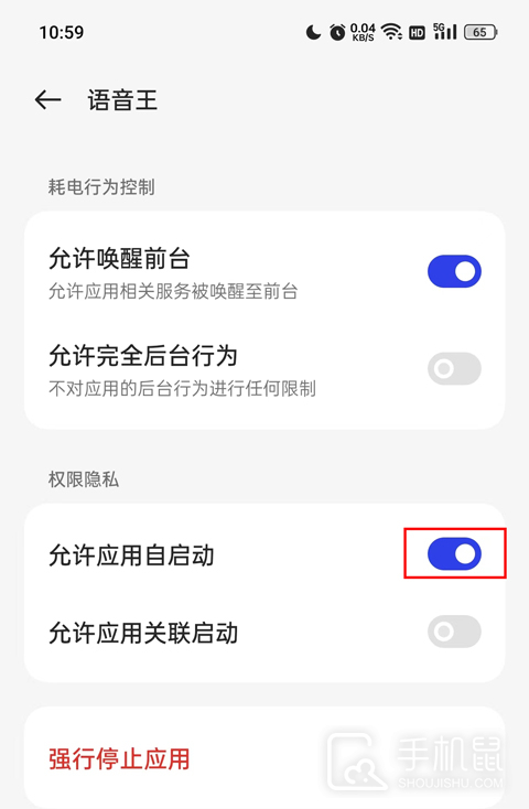 语音王
