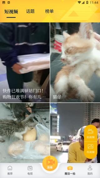 醒目视频